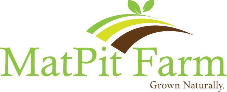 Matpit Logo